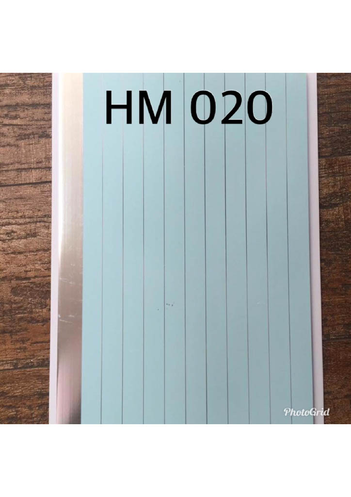 HM020